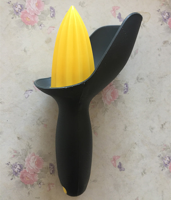 Fruit lemon juicer