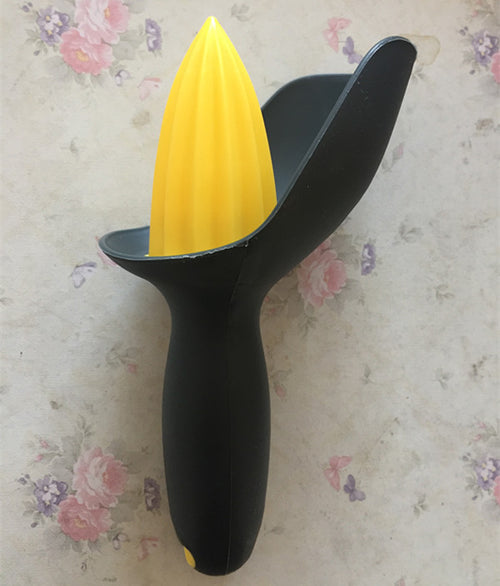 Fruit lemon juicer
